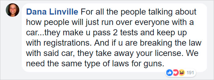 Animator Brilliantly Explains The Gun Control Debate Using Cats