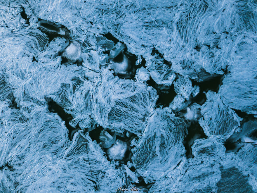 Drone Or Microscope? Drone Or Microscope?