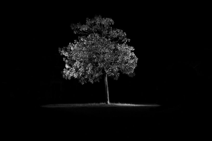 I Spent 4 Years Making This Stop Motion Music Video