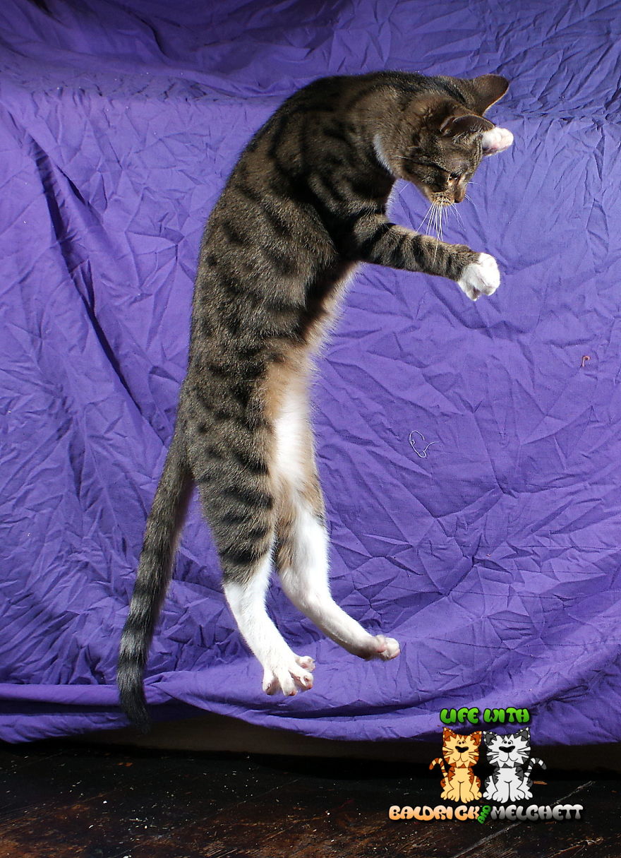 The Way Of Edmund The Way Of Edmund