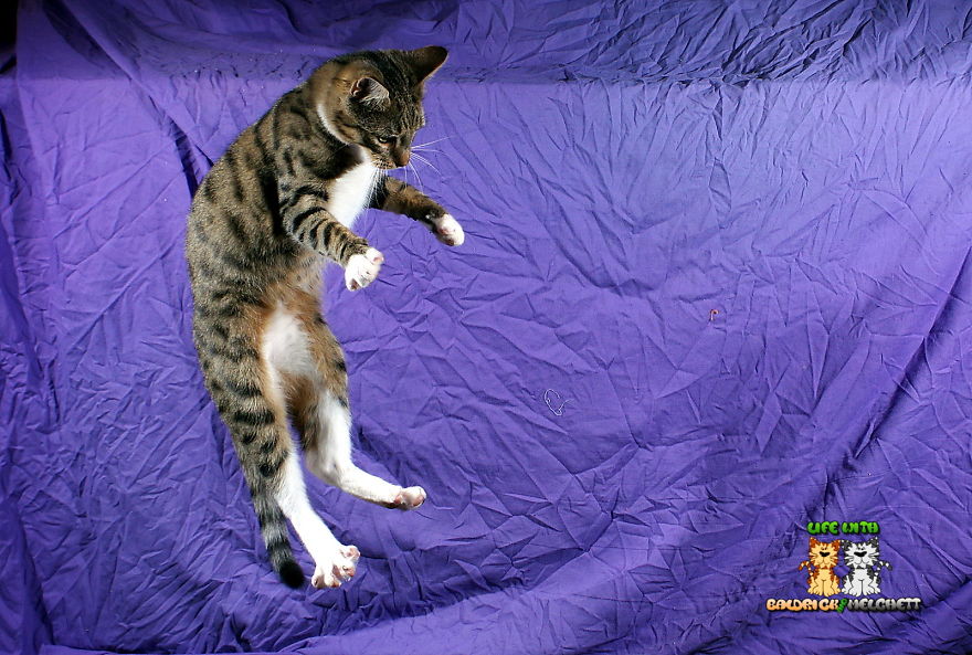 The Way Of Edmund The Way Of Edmund