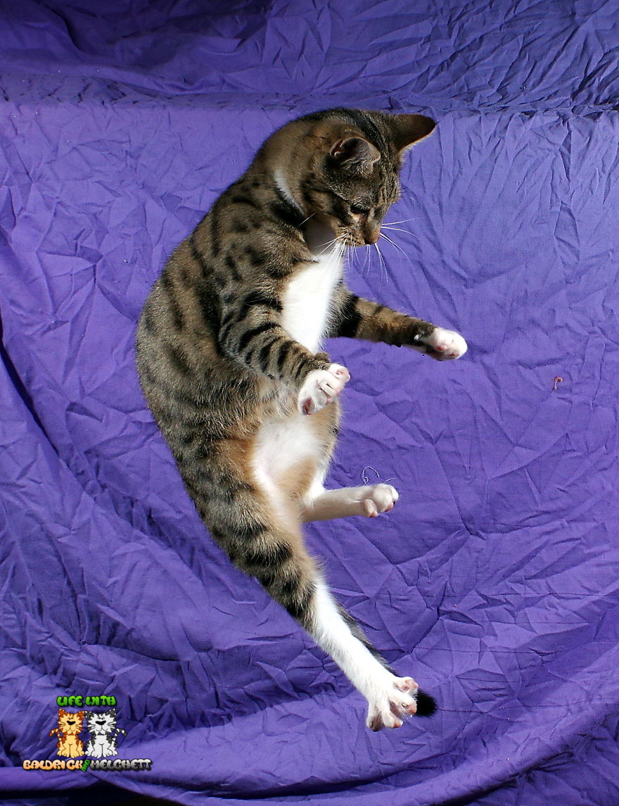 The Way Of Edmund The Way Of Edmund