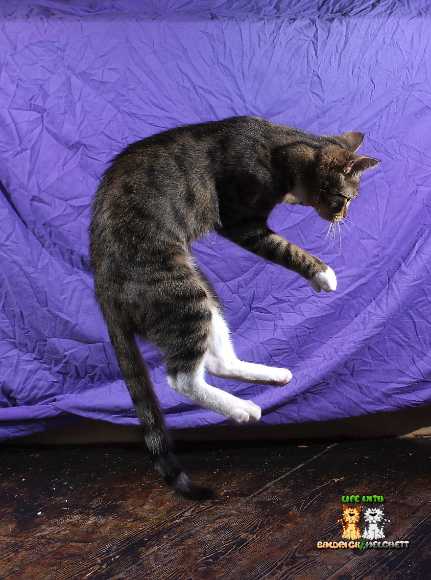 The Way Of Edmund The Way Of Edmund