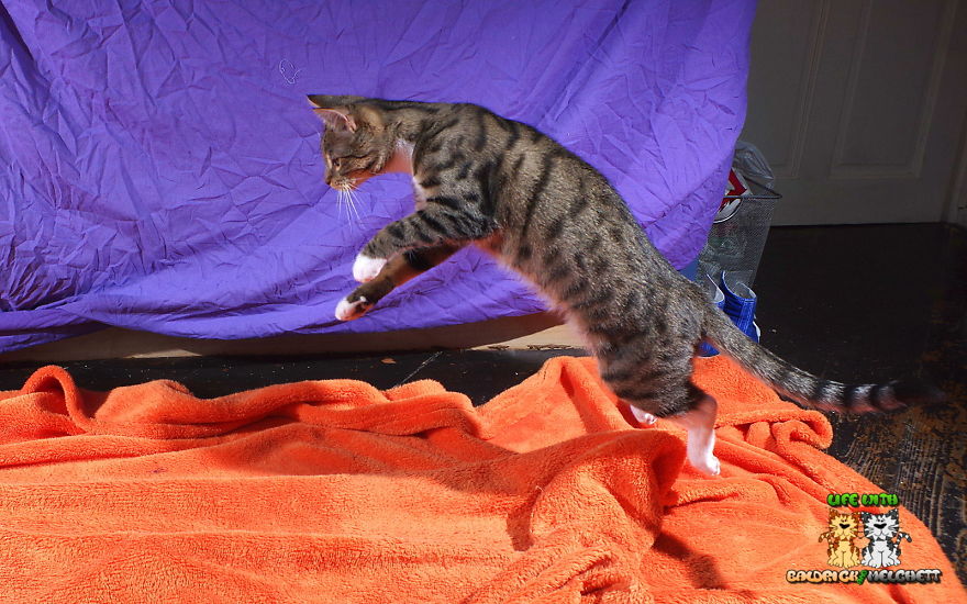 The Way Of Edmund The Way Of Edmund