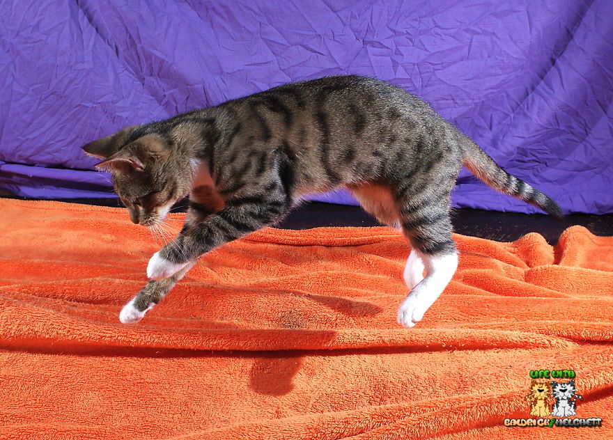 The Way Of Edmund The Way Of Edmund