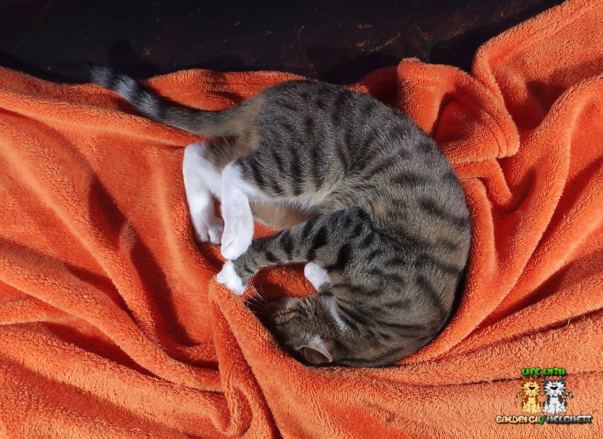 The Way Of Edmund The Way Of Edmund