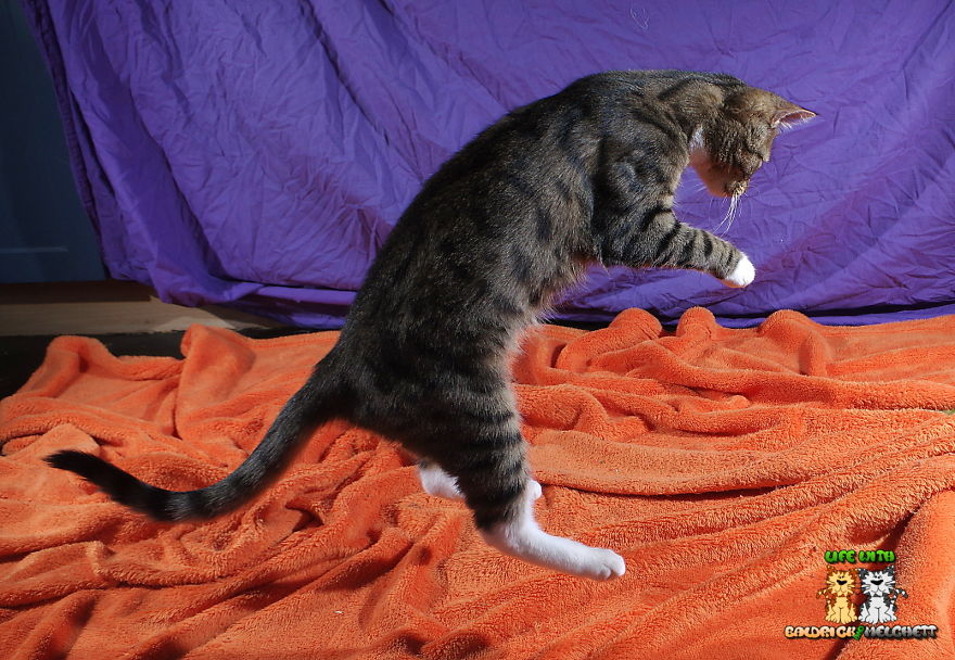 The Way Of Edmund The Way Of Edmund