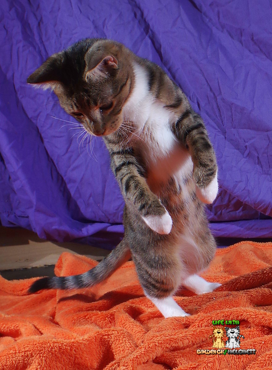 The Way Of Edmund The Way Of Edmund