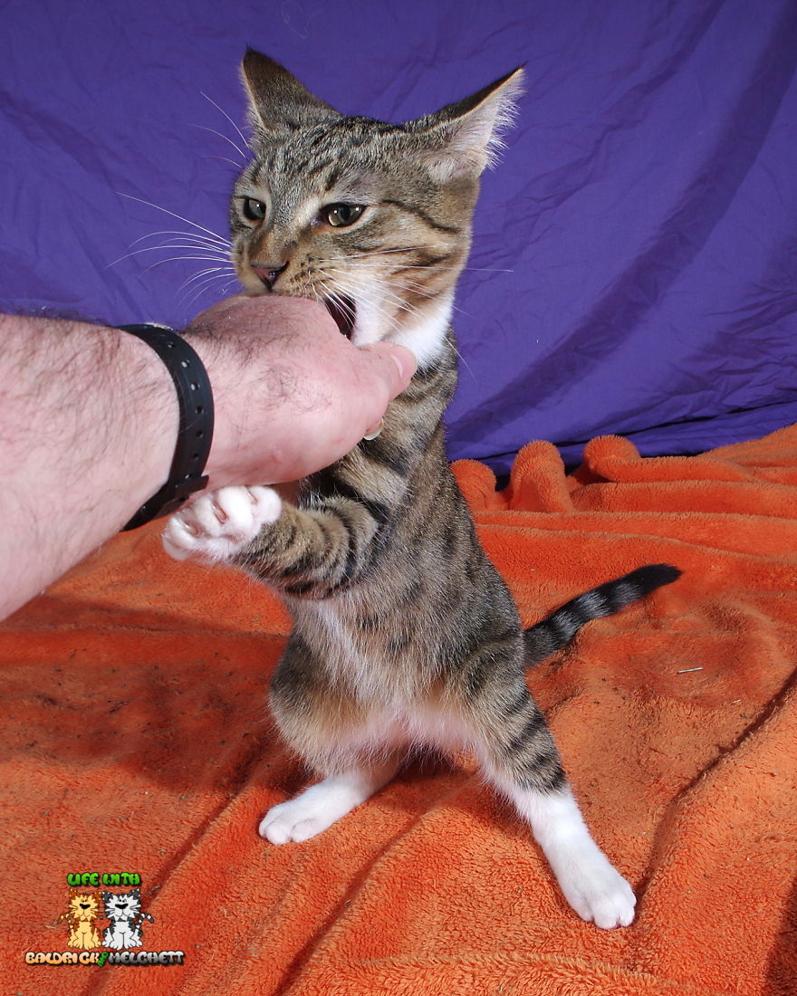 The Way Of Edmund The Way Of Edmund