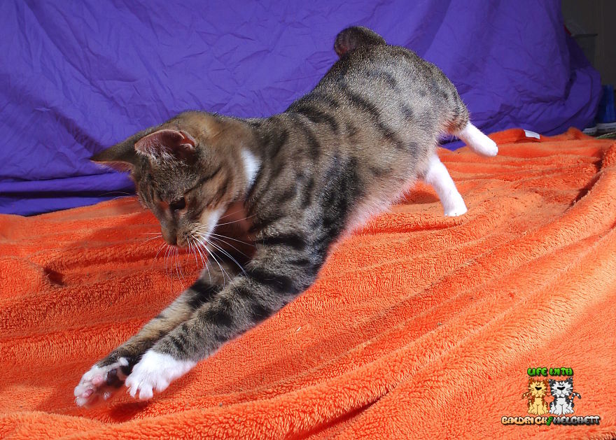 The Way Of Edmund The Way Of Edmund