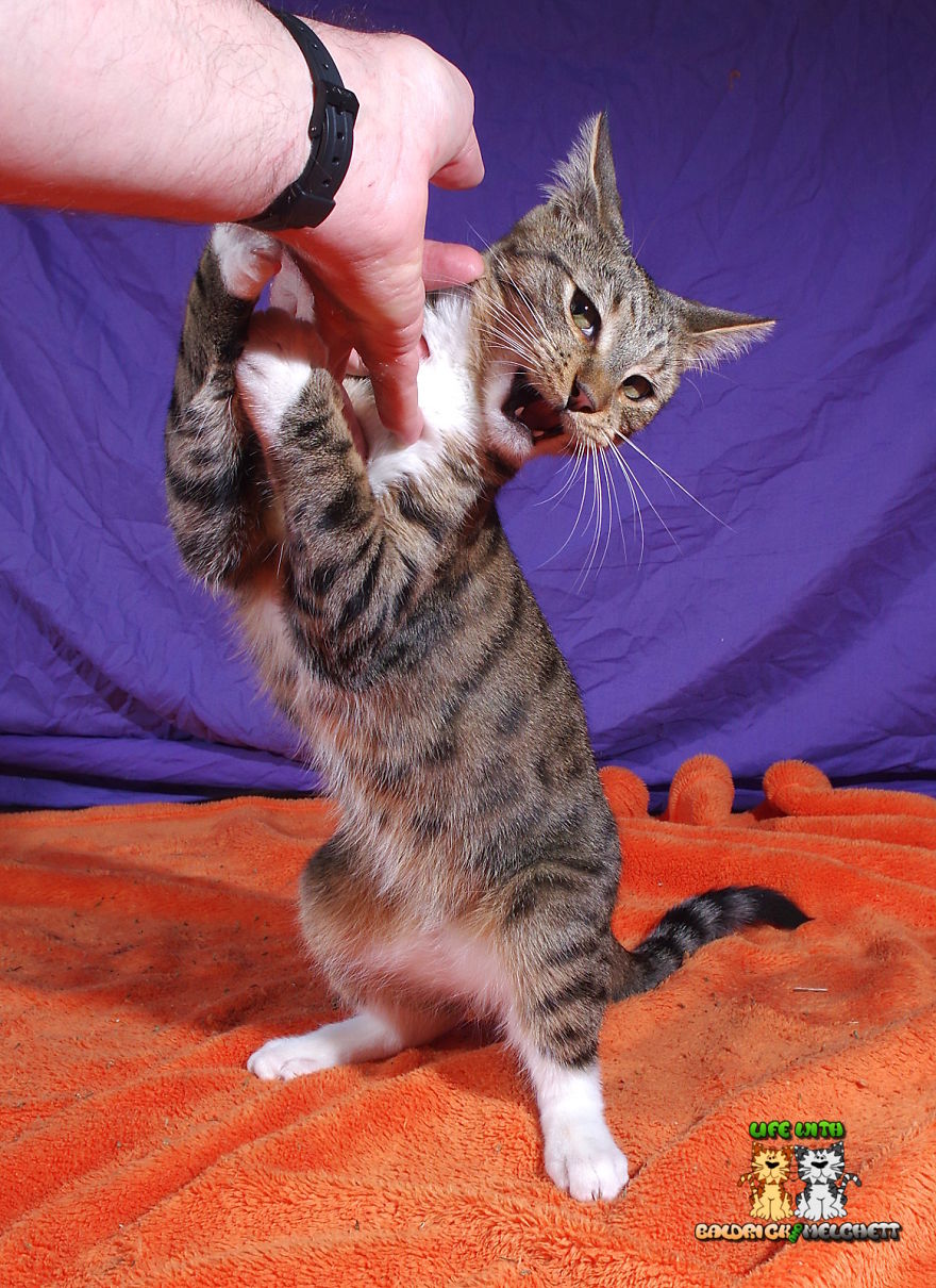 The Way Of Edmund The Way Of Edmund