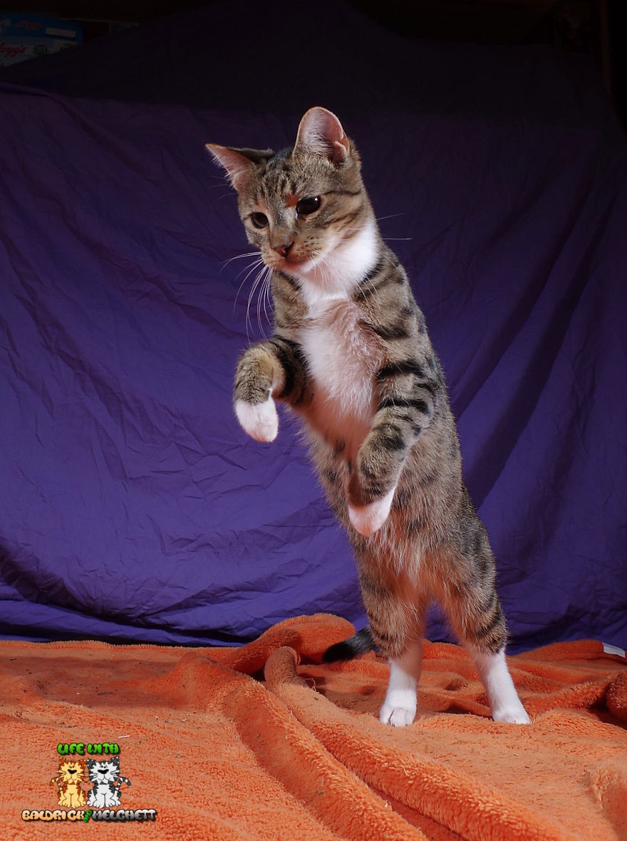 The Way Of Edmund The Way Of Edmund