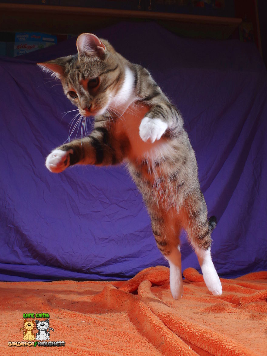 The Way Of Edmund The Way Of Edmund