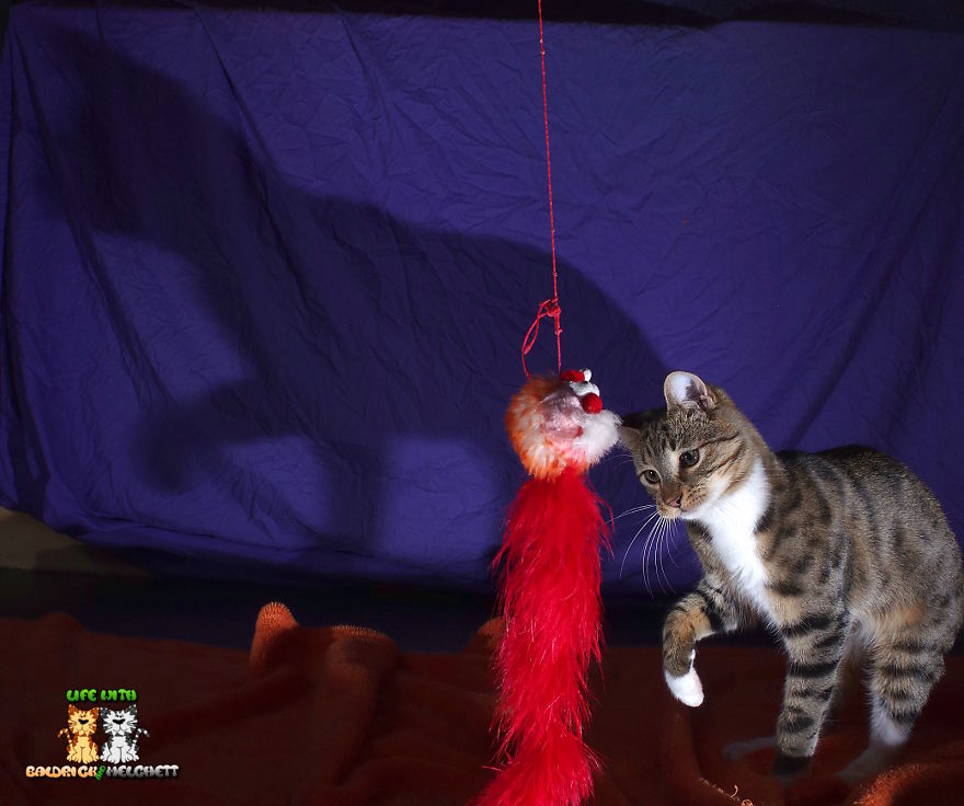 The Way Of Edmund The Way Of Edmund