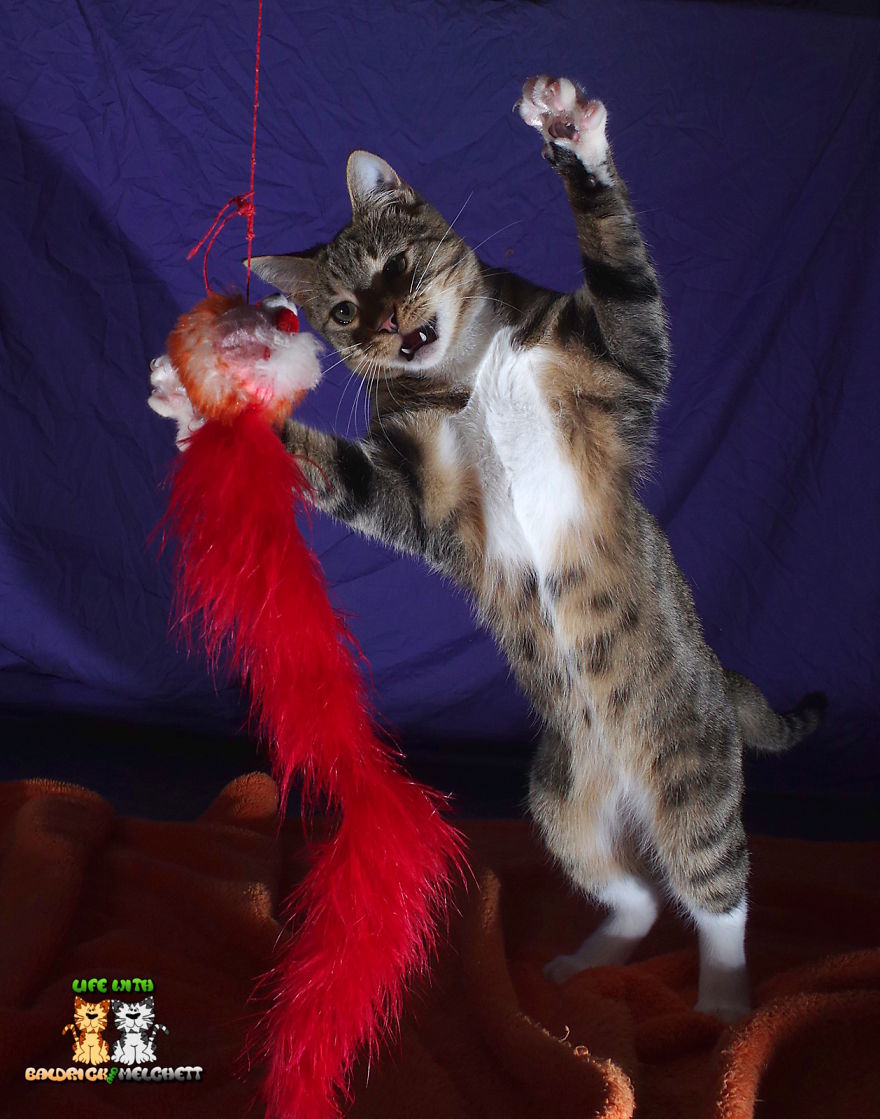 The Way Of Edmund The Way Of Edmund