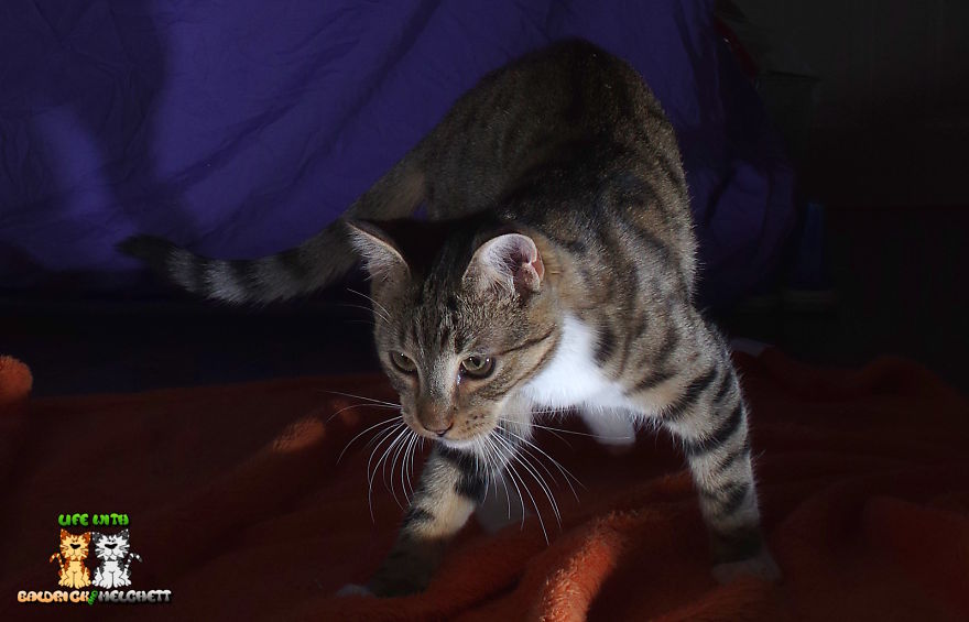 The Way Of Edmund The Way Of Edmund