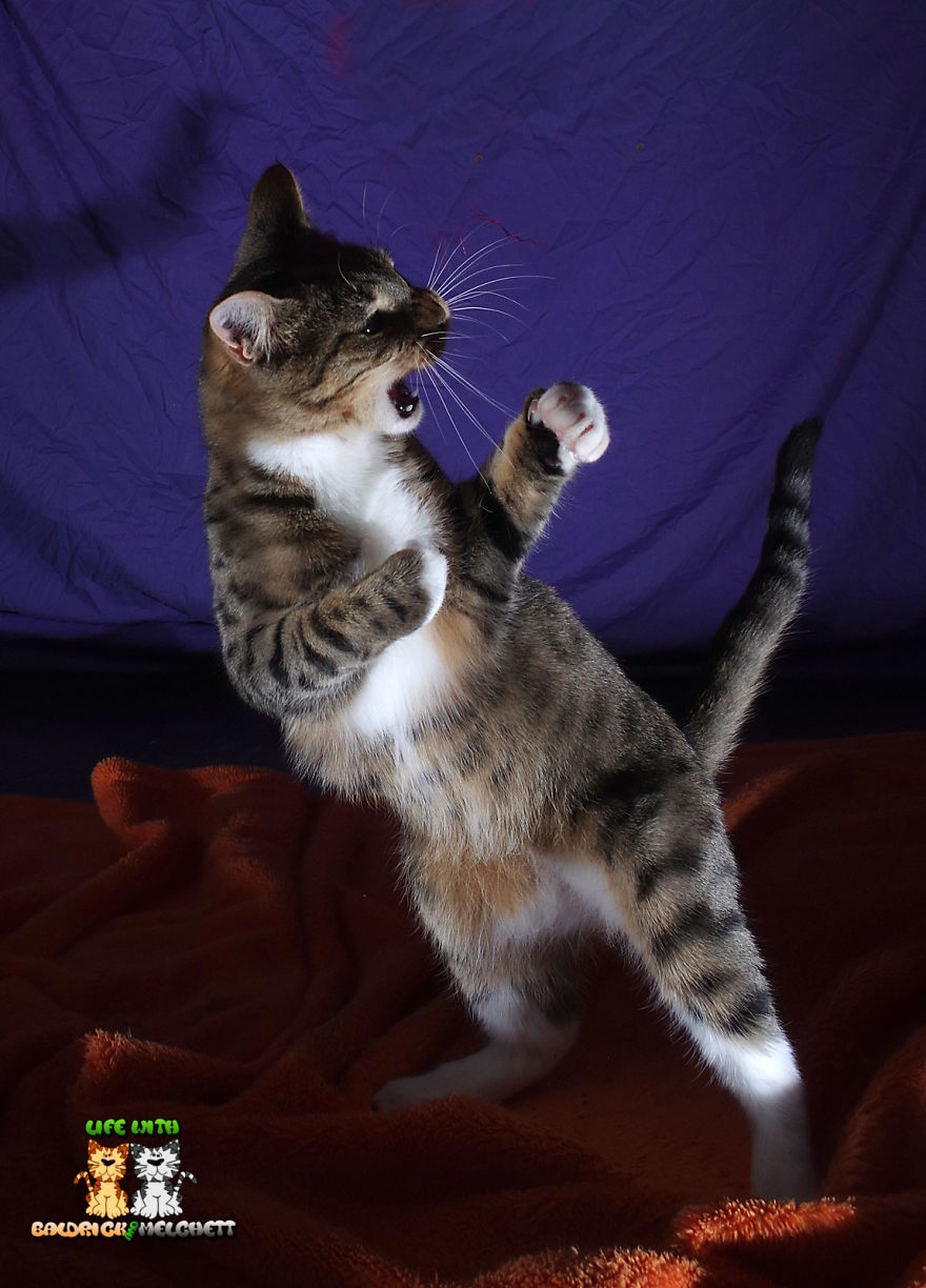 The Way Of Edmund The Way Of Edmund