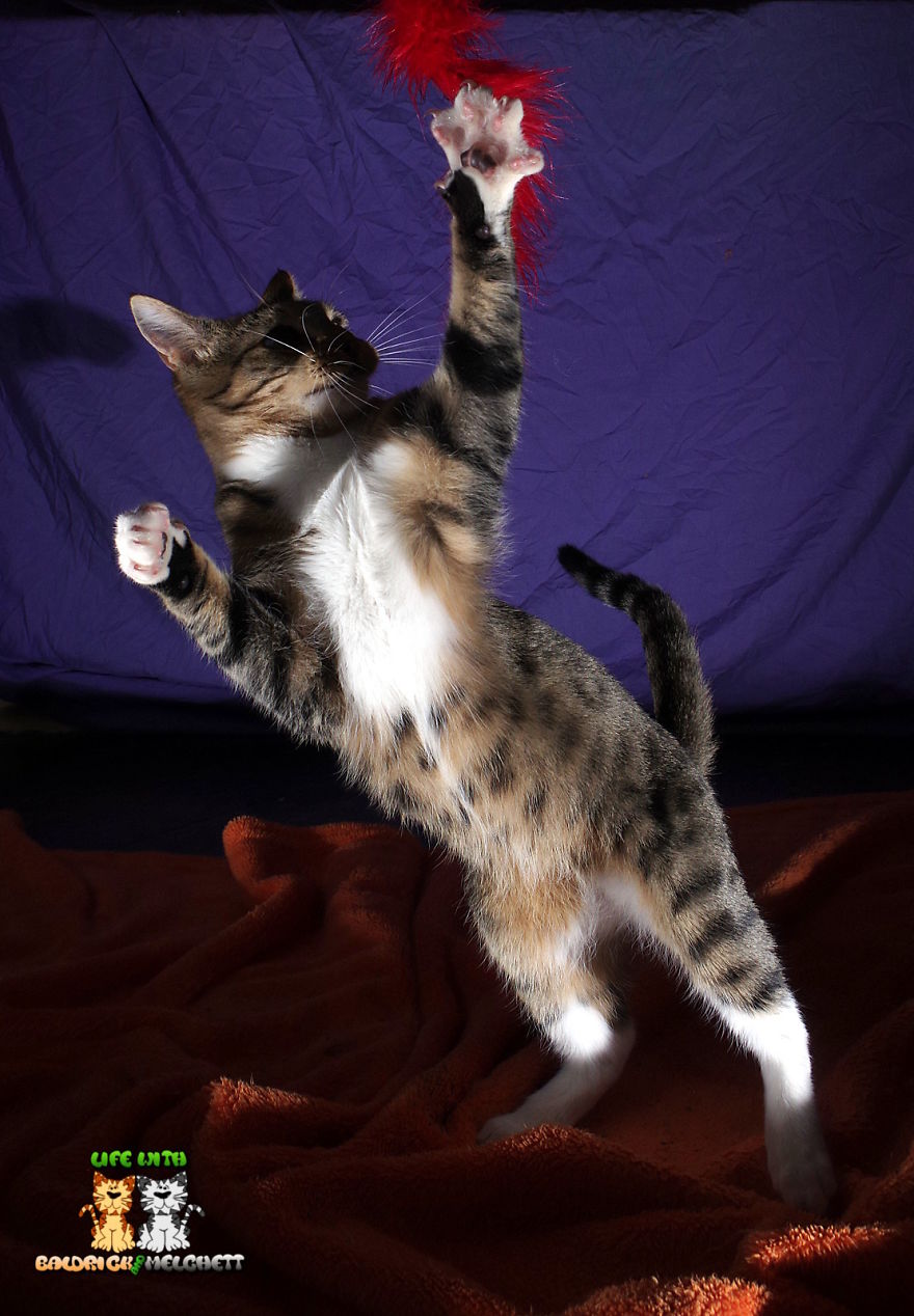 The Way Of Edmund The Way Of Edmund