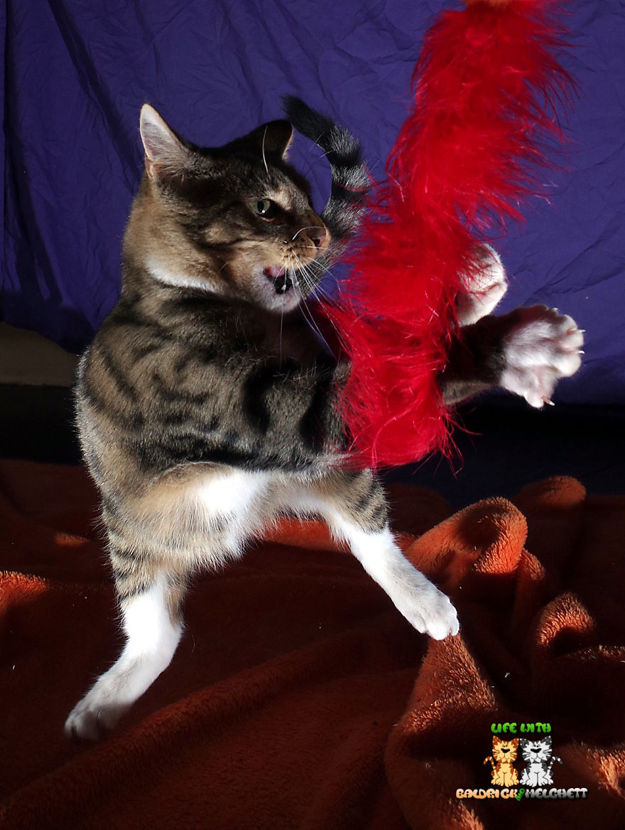 The Way Of Edmund The Way Of Edmund