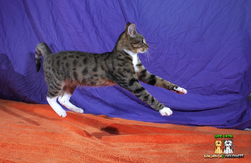 The Way Of Edmund The Way Of Edmund