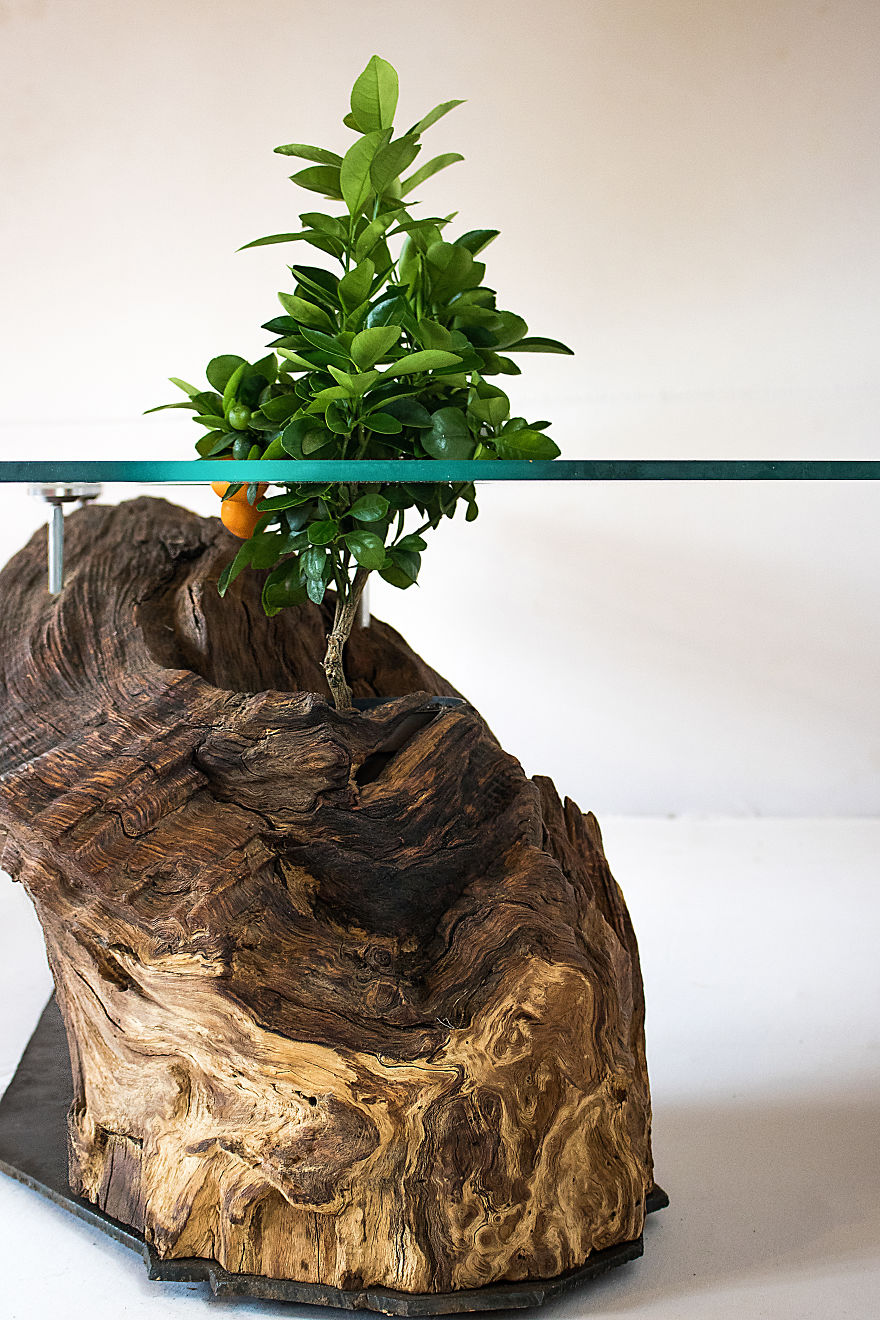 Broken Branch Table Broken Branch Table