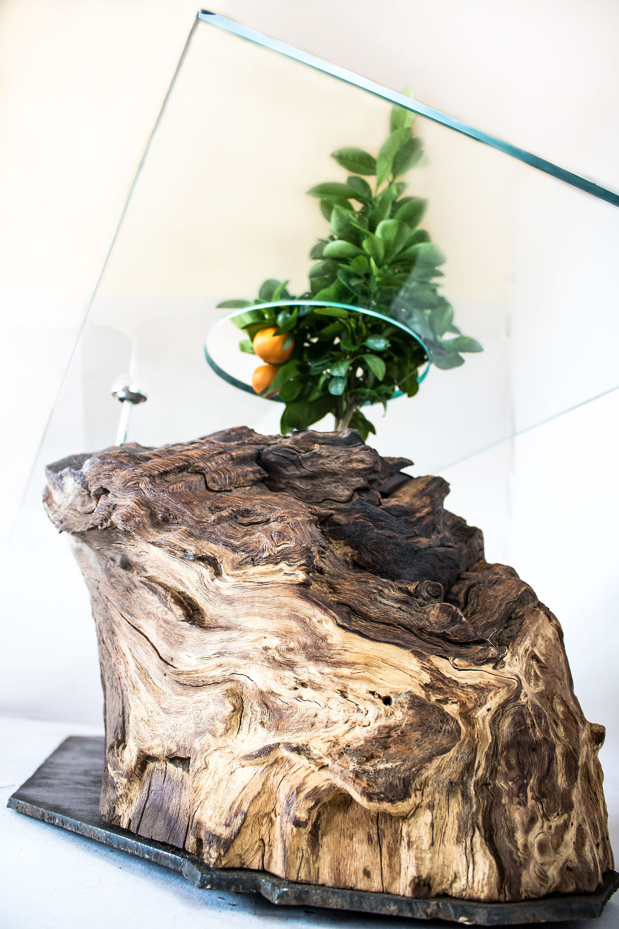 Broken Branch Table Broken Branch Table