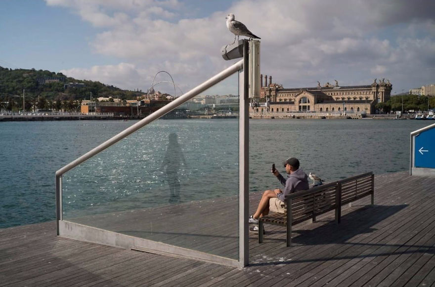 50 Incredibly Lucky Shots By Probably The Best Street Photographer In The World 50 Incredibly Lucky Shots By Probably The Best Street Photographer In The World