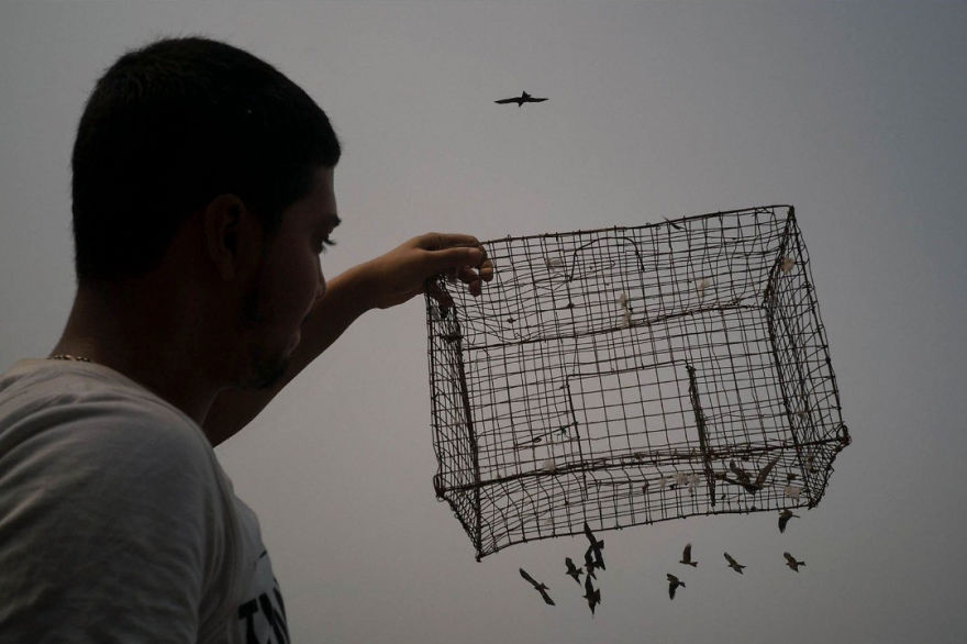 50 Incredibly Lucky Shots By Probably The Best Street Photographer In The World 50 Incredibly Lucky Shots By Probably The Best Street Photographer In The World