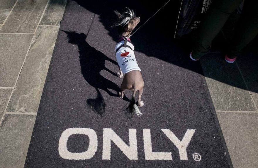 50 Incredibly Lucky Shots By Probably The Best Street Photographer In The World 50 Incredibly Lucky Shots By Probably The Best Street Photographer In The World