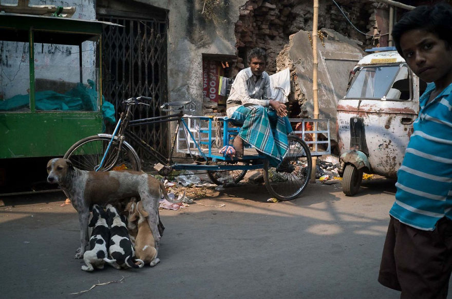 50 Incredibly Lucky Shots By Probably The Best Street Photographer In The World 50 Incredibly Lucky Shots By Probably The Best Street Photographer In The World