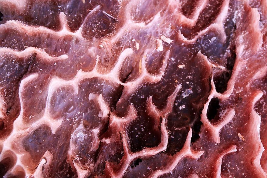 I Traveled To Ancient Region And Saw Amazing Shapes That Made By Salt I Traveled To Ancient Region And Saw Amazing Shapes That Made By Salt