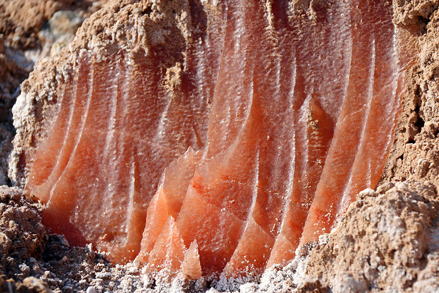 I Traveled To Ancient Region And Saw Amazing Shapes That Made By Salt I Traveled To Ancient Region And Saw Amazing Shapes That Made By Salt