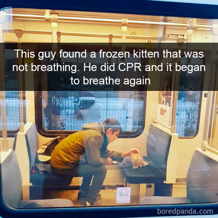 159 Hilarious Cat Snapchats That Will Leave You With The Biggest Smile (New Pics) 159 Hilarious Cat Snapchats That Will Leave You With The Biggest Smile (New Pics)