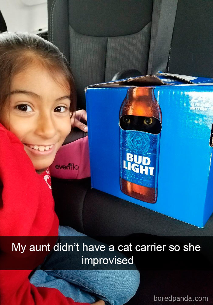 159 Hilarious Cat Snapchats That Will Leave You With The Biggest Smile (New Pics) 159 Hilarious Cat Snapchats That Will Leave You With The Biggest Smile (New Pics)