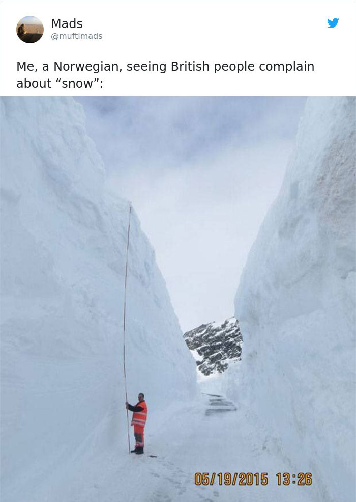 Internet Can&#8217;t Stop Laughing At Brits Who Are In Absolute Chaos Because Of A Little Snow