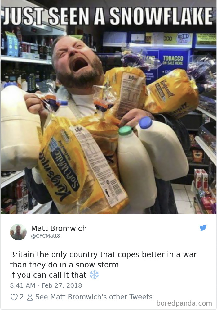 Internet Can&#8217;t Stop Laughing At Brits Who Are In Absolute Chaos Because Of A Little Snow