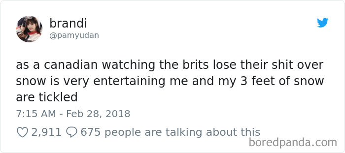 Internet Can&#8217;t Stop Laughing At Brits Who Are In Absolute Chaos Because Of A Little Snow