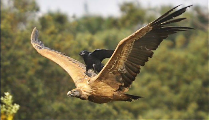 35 People Who Took Laziness To Another Level 35 People Who Took Laziness To Another Level