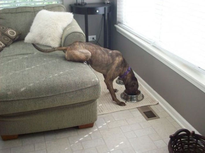 35 People Who Took Laziness To Another Level 35 People Who Took Laziness To Another Level