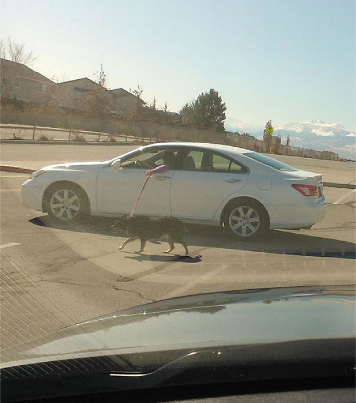 35 People Who Took Laziness To Another Level 35 People Who Took Laziness To Another Level