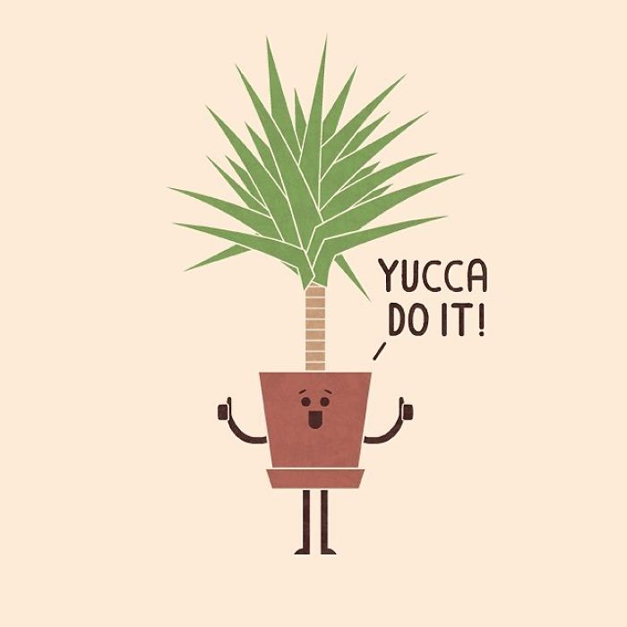 I Imagined What Would Things Say If They Could Talk