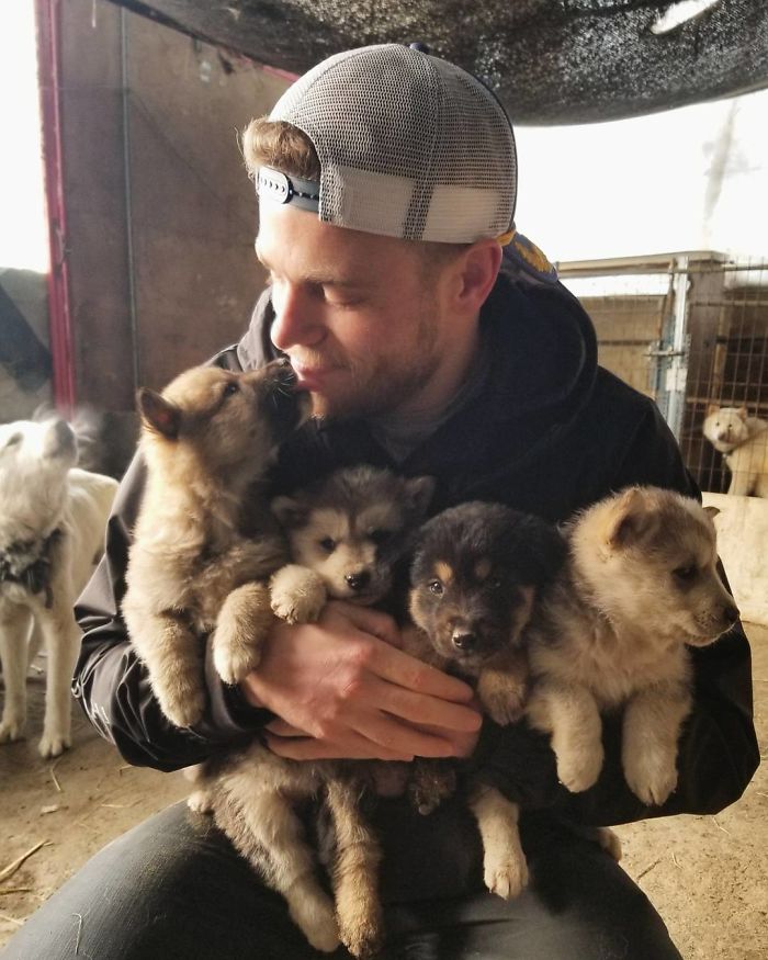 US Olympic Skier Gus Kenworthy Rescued 90 Dogs From Korean Dog Meat Farm
