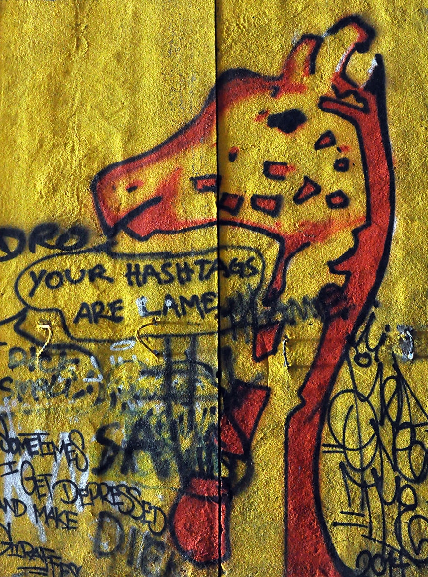 My Friends And I Spent Hours Exploring The Donner Tunnels And Snow Sheds, And All Concluded It Was An Incredible Experience My Friends And I Spent Hours Exploring The Donner Tunnels And Snow Sheds, And All Concluded It Was An Incredible Experience