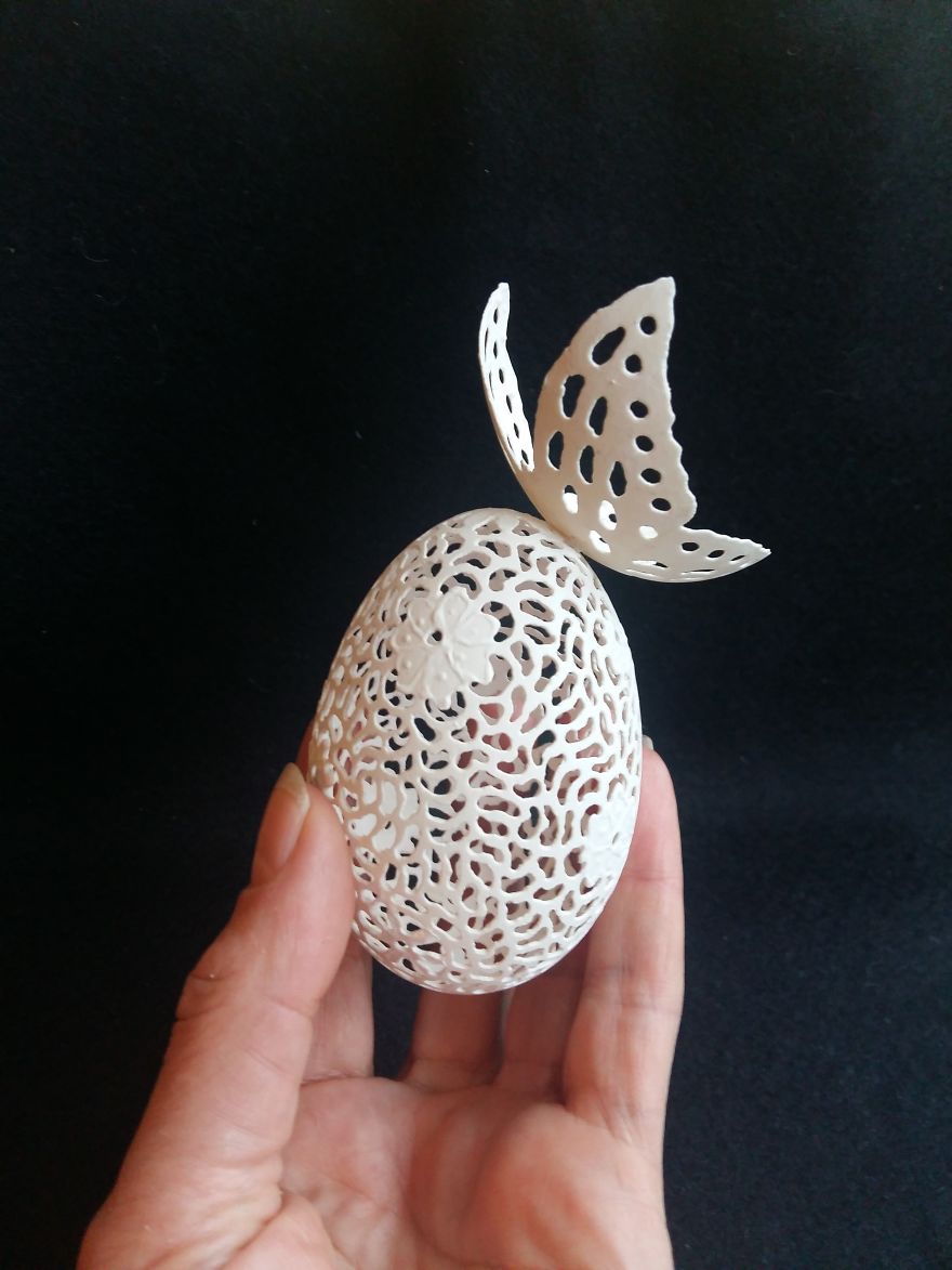 My Butterflies Give Birth Not From A Cocoon, But From An Egg… My Butterflies Give Birth Not From A Cocoon, But From An Egg…