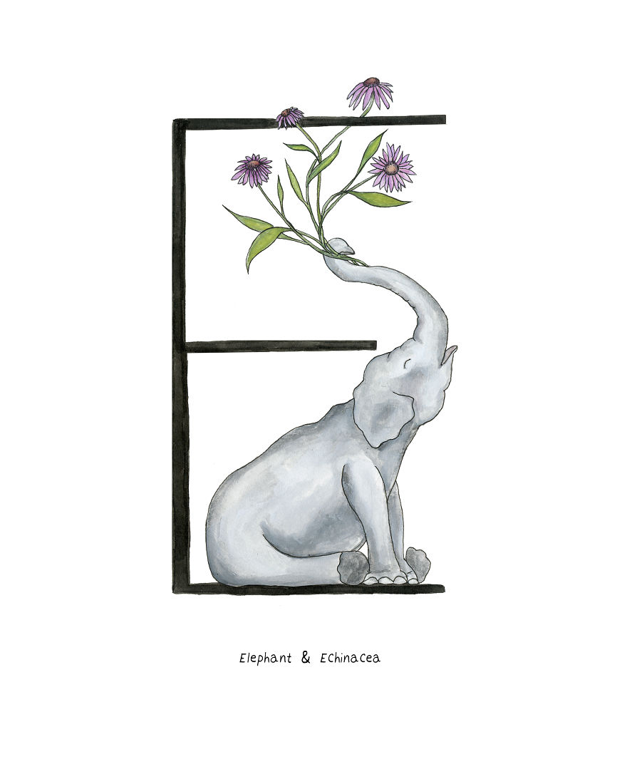 I Drew An Alphabet With Matching Smiling Animal And Plant Illustrations