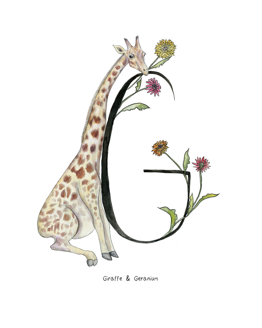 I Drew An Alphabet With Matching Smiling Animal And Plant Illustrations