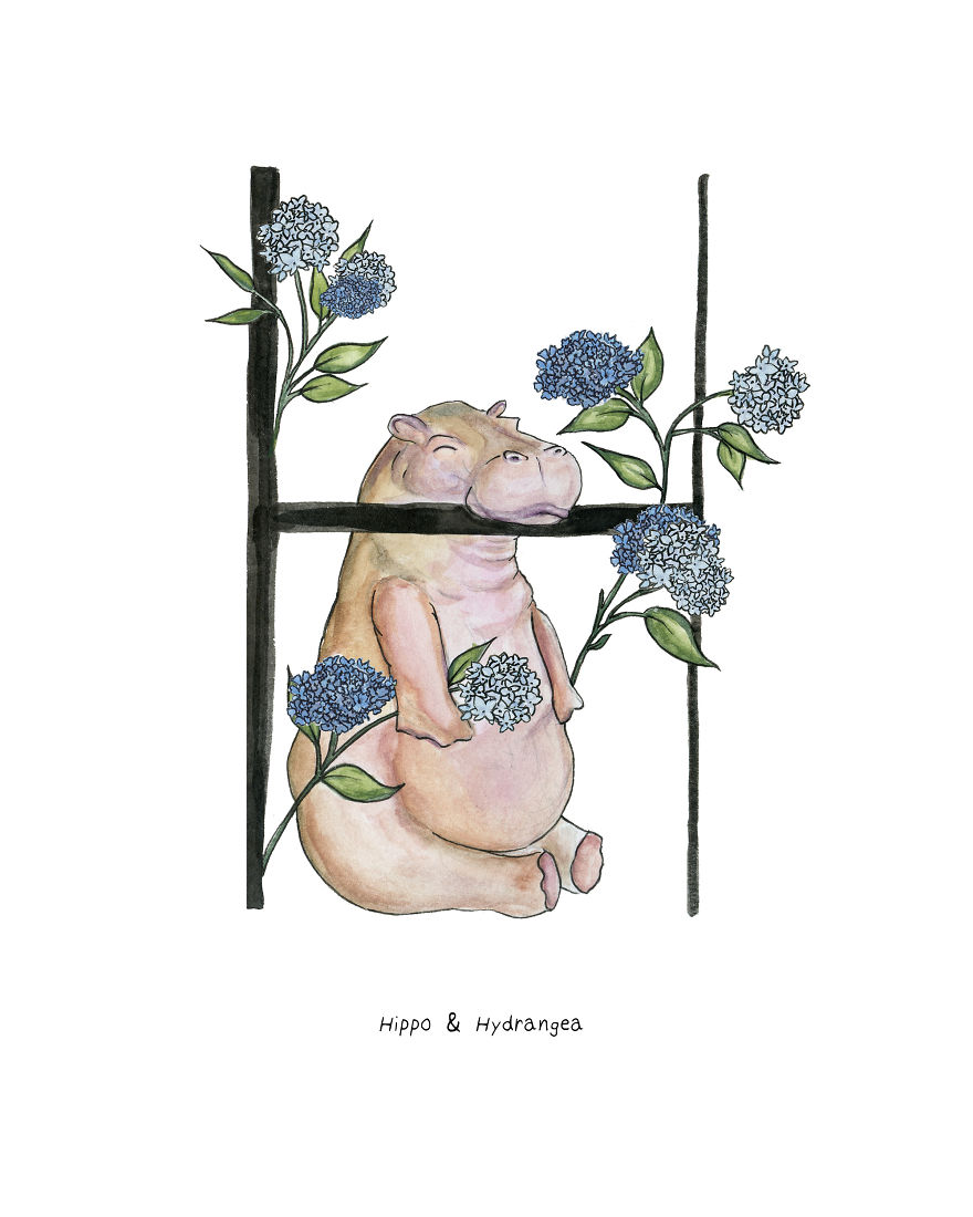 I Drew An Alphabet With Matching Smiling Animal And Plant Illustrations