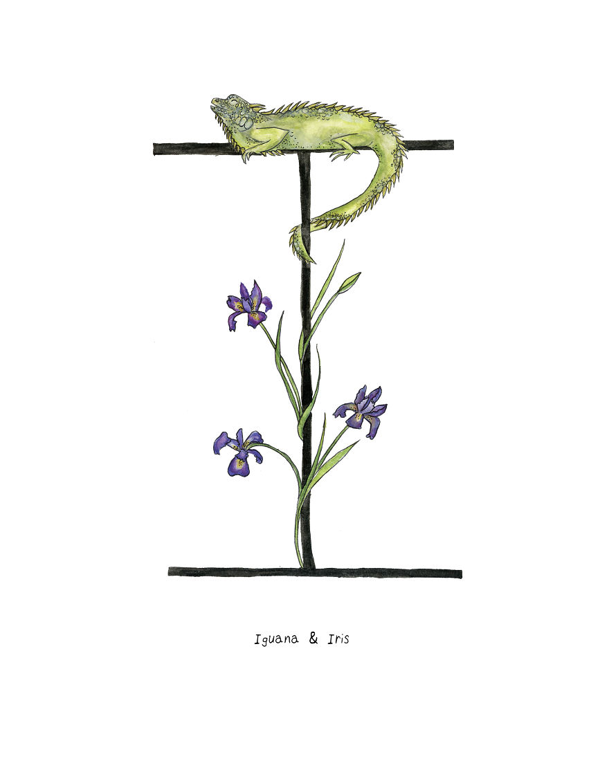 I Drew An Alphabet With Matching Smiling Animal And Plant Illustrations