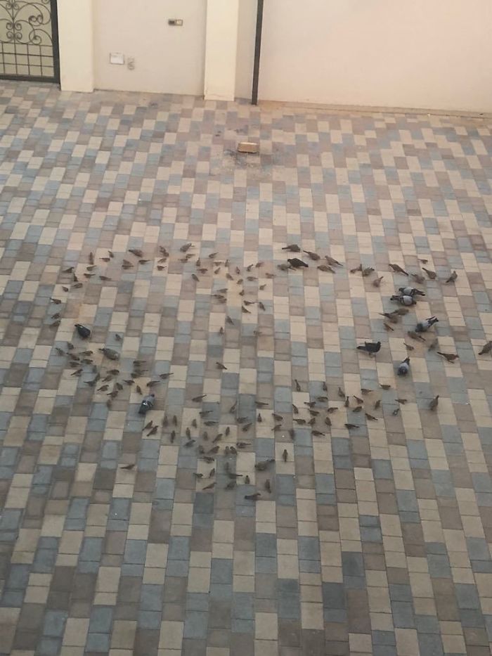 You Will Be Smiling Like An Idiot After Seeing These 239 Wholesome Pictures You Will Be Smiling Like An Idiot After Seeing These 239 Wholesome Pictures