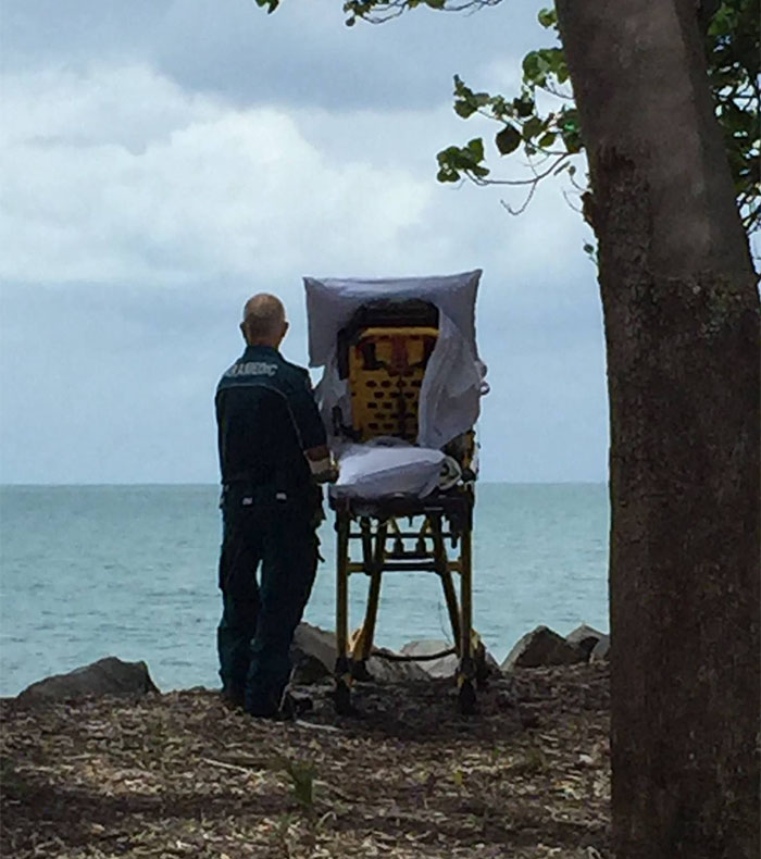 You Will Be Smiling Like An Idiot After Seeing These 239 Wholesome Pictures You Will Be Smiling Like An Idiot After Seeing These 239 Wholesome Pictures